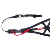 RaceQuip Black SFI 37.1 Side Roll Cage Net