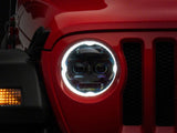 Photo - Close Up