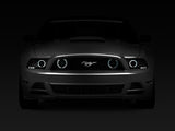 Raxiom 13-14 Ford Mustang GT CCFL Halo Fog Lights (Smoked)