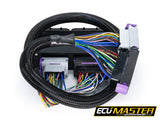 Audi B5 S4 / RS4 PNP for EMU Black