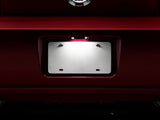 Photo - Close Up