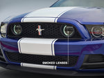 Raxiom 13-14 Ford Mustang GT CCFL Halo Fog Lights (Smoked)